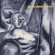 LP - Screaming Trees - Dust
