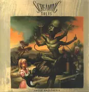 LP - Screaming Trees - Uncle Anesthesia - 180gr