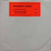 Screaming Target - Fallout / Knowledge & Noises