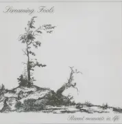 EP - Screaming Fools - Recent Moments In Life - GERMAN PRIVATE SYNTH WAVE