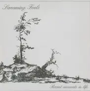 Screaming Fools - Recent Moments In Life