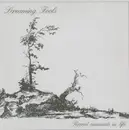 EP - Screaming Fools - Recent Moments In Life - GERMAN PRIVATE SYNTH WAVE