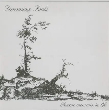 Screaming Fools - Recent Moments In Life