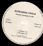 EP - Screaming Fools - Recent Moments In Life - GERMAN PRIVATE SYNTH WAVE