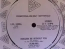 12inch Vinyl Single - Screams - Imagine Me Without You