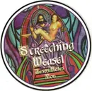 7'' - Screeching Weasel - Jesus Hates You - Picture Disc