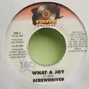7inch Vinyl Single - Screwdriver - What A Joy