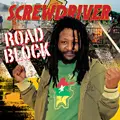 Screw Driver - Road Block