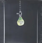 LP - Scud Mountain Boys - Do You Love The Sun