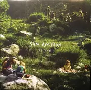 LP - Sam Amidon - Lily-O