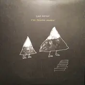 SAM AMIDON - The Following Mountain