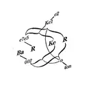 12inch Vinyl Single - Sam Barker - Barker002