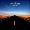 CD - Sam Bisbee - Vehicle