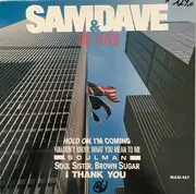 12inch Vinyl Single - Sam & Dave - Soul Review