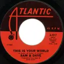 7inch Vinyl Single - Sam & Dave - You Don't Know What You Mean To Me / This Is Your World
