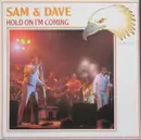 LP - Sam & Dave - Hold On I'm Coming
