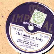 Sam Lanin and His Dance Orchestra - That Night in Araby / In a Little Garden