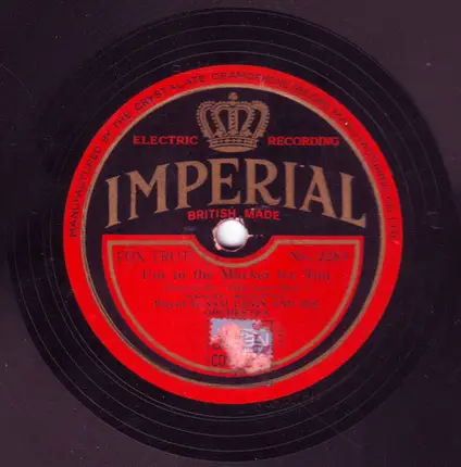 Sam Lanin & His Orchestra - Just Like In A Story Book / I'm In The Market For You