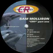 Sam Mollison - Cry (Part One)