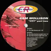 Sam Mollison - Cry (Part Two)