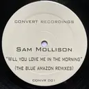 12inch Vinyl Single - Sam Mollison - Will You Love Me In The Morning