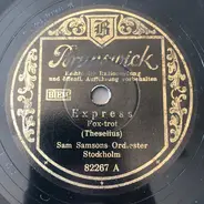 Sam Samsons Orkester - Express / Minna