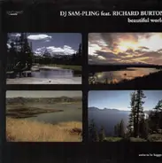 Sam-Pling, Richard Burton - Beautiful World