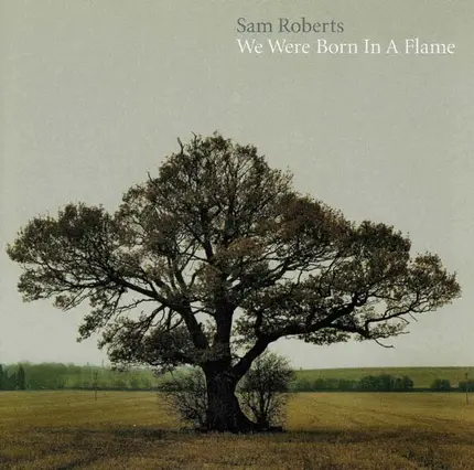 Sam Roberts - We Were Born in a Flame