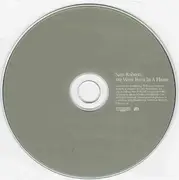 CD - Sam Roberts - We Were Born In A Flame