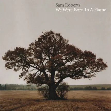 Sam Roberts - We Were Born in a Flame