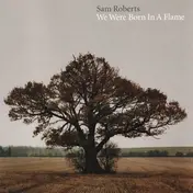 Sam Roberts - We Were Born in a Flame
