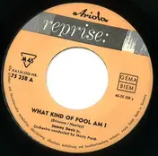 Sammy Davis Jr. - What Kind Of Fool Am I / The Mountain Song