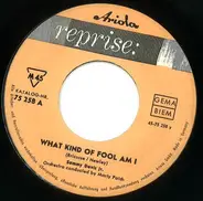 Sammy Davis Jr. - What Kind Of Fool Am I / The Mountain Song