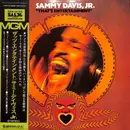 LP - Sammy Davis Jr. - That's Entertainment - OBI, Insert incl.