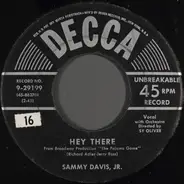 Sammy Davis Jr. - Hey There