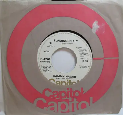 Sammy Hagar - Flamingos Fly