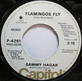 Sammy Hagar - Flamingos Fly