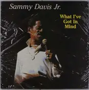 Sammy Jr. Davis - What I've Got IT Mind