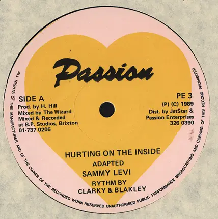 Sammy Levi - Hurting On The Inside