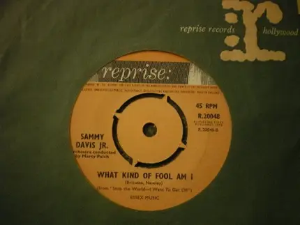 Sammy Davis Jr. - Gonna Build A Mountain / What Kind Of Fool Am I