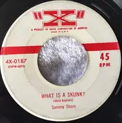 Sammy Shore - Seventeen Tons / What Is A Skunk?
