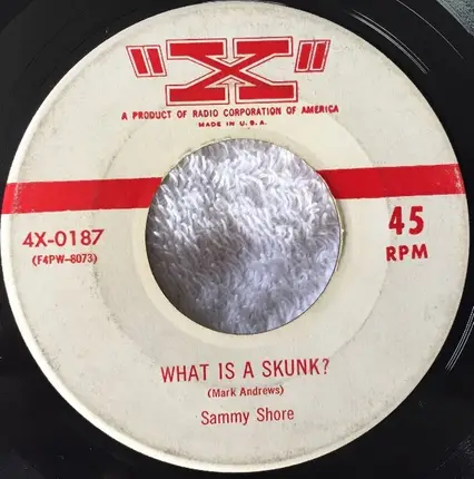 Sammy Shore - Seventeen Tons / What Is A Skunk?