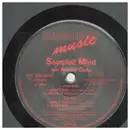 12inch Vinyl Single - Sampled Mind Feat. Another Class - Don't You