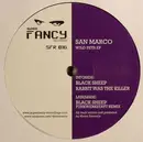 12inch Vinyl Single - San Marco - Wild Pets EP - EP