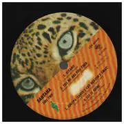 LP - Santana - Amigos