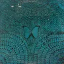 LP - Santana - Borboletta