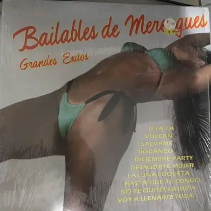 Santo Domingo All Star Band - Bailables de Merengues Grandes Exitos