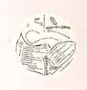 LP - Santrra - Oxyd - Pink Vinyl | No Original Sleeve