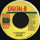 7inch Vinyl Single - Sanchez - Player Hater
