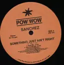 12'' - Sanchez - Something Just Ain't Right